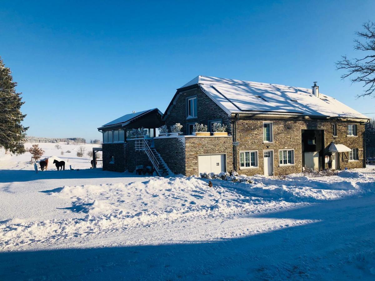 B&B Pegasus II - Chambre Familiale De Luxe Avec Sauna Privatif Vielsalm Luaran gambar