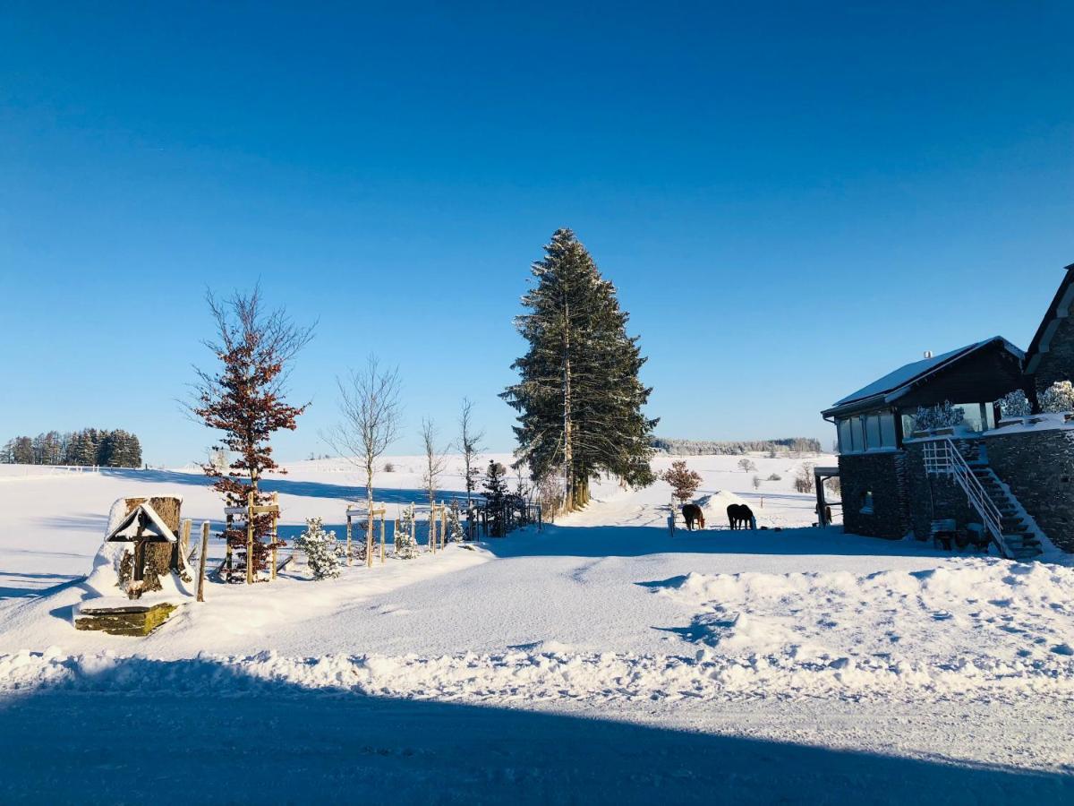 B&B Pegasus II - Chambre Familiale De Luxe Avec Sauna Privatif Vielsalm Luaran gambar